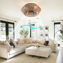 Flush Mount Boho Ceiling Fan Rattan Caged Fan Light  Remote Control Ceiling Fan