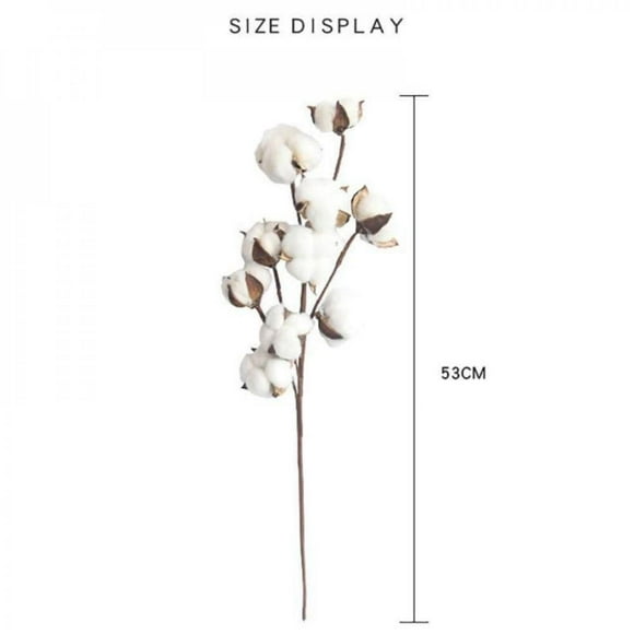 Shop Clearance! 21-Inch Natural White Cotton Stem Flowers Cotton Boll Branches Farmhouse Rustic Style Vase Display Filler Floral Wedding Centerpiece Decorations