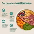 thumbnail image 4 of Jinx Lamb, Sweet Potato, & Carrot Dry Dog Food, Grain Free, 4lb. Bag, 4 of 13