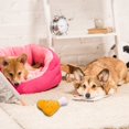 thumbnail image 5 of Plush Double Bone Chicken Leg Tooth Grinding Soundmaking Toy Pet Supplies, 5 of 5