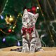 thumbnail image 4 of 1 Juego de traje de Navidad para gato, disfraz de Navidad para perro, traje de Papá Noel, sombrero de Navidad para perro y pajarita, ropa de Navidad para mascotas, 4 of 5
