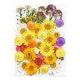 thumbnail image 2 of Birdeem Dried and Embossed Flowers for Resin Kit Candles and Crafts, 2 of 5