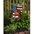 thumbnail image 2 of Carolines Treasures SS4224-FLAG-PARENT USA American Flag with Doberman Flag  multicolor, 2 of 2