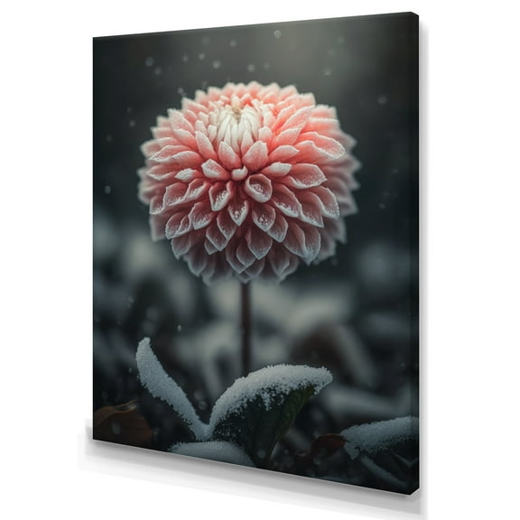 Designart A Blooming Pink Dahlia Flower In Winter III Canvas Wall Art