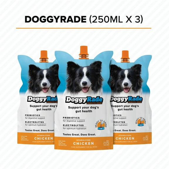 DoggyRade Prebiotic & Electrolyte, Hydration Drink for Dogs/Dogs 6 Weeks or Older/Digestive & Immune Health/Electrolytes & Nutrients/3 - 8.4 fl oz Pouches