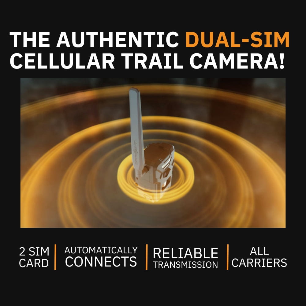 Spypoint FLEX-PLUS 36 MP Cellular Trail Camera Bundle with Lithium Battery Solar Panel, Rechargeable Lithium Battery Pack, Memory Card, and Focus All-In-One High Speed Card Reader (5 Items)