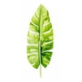 thumbnail image 2 of Popp, Grace 14x24 White Modern Wood Framed Museum Art Print Titled - Banana Leaf Study II, 2 of 4