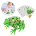 thumbnail image 3 of Modelo educativo de anatomía de rana, kit de disección desmontable para niños, herramienta de aprendizaje interactiva con órganos realistas para la enseñanza de ciencias en la escuela y el hogar, 3 of 7