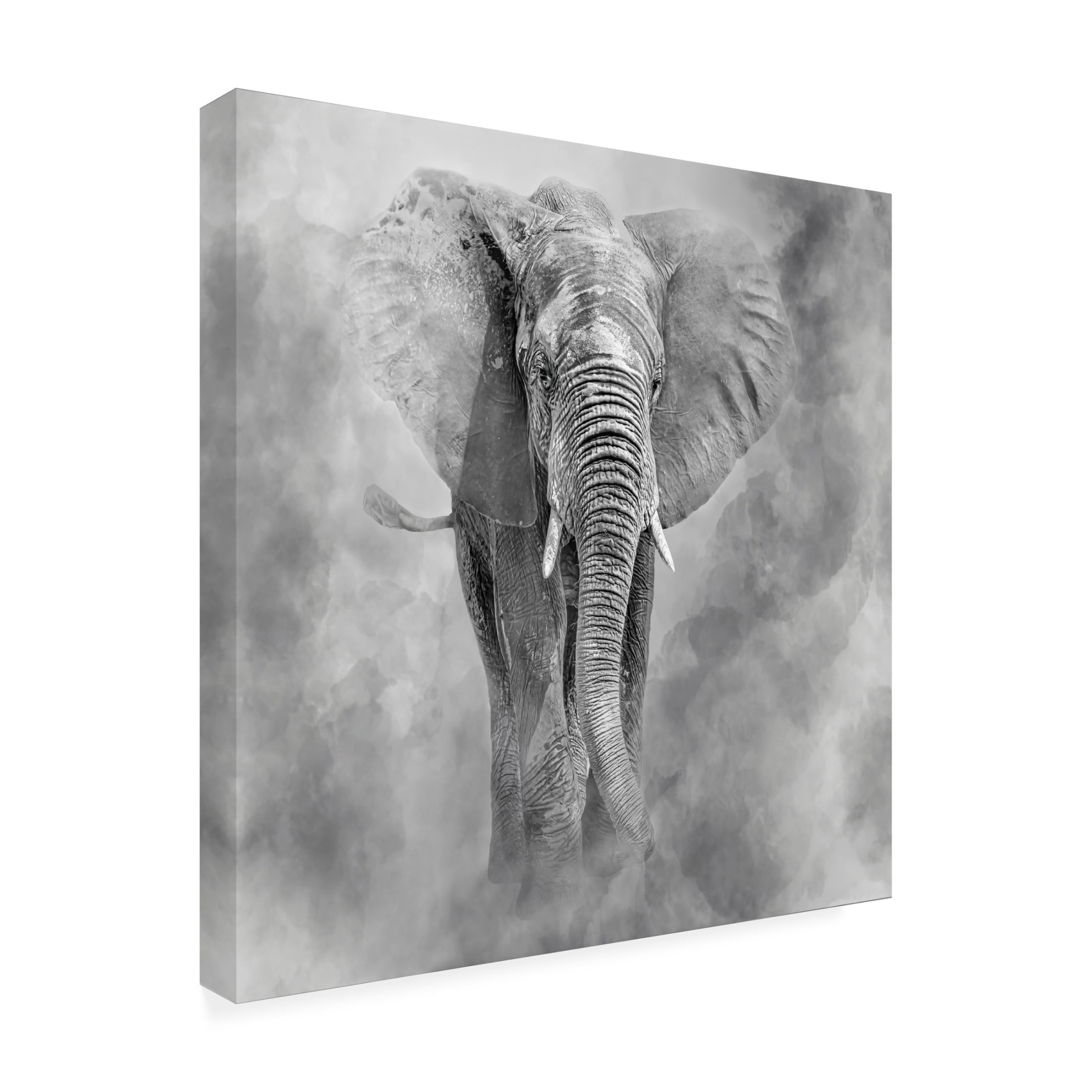 Trademark Fine Art Ilona Rosenkrancova Giant Canvas Wall Art