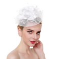 thumbnail image 3 of Elegante pinza para el pelo con plumas para mujer, niñas, fiestas, bodas, citas, decoración, diadema de nailon suave, accesorios, 3 of 8