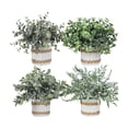 thumbnail image 1 of 4 piezas de plantas artificiales BLESIY adornos de mesa miniplantas decorativas, 1 of 8