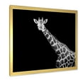 thumbnail image 2 of Designart 'Close Up Portrait Of A Giraffe On Black I' Farmhouse Framed Art Print, 2 of 4