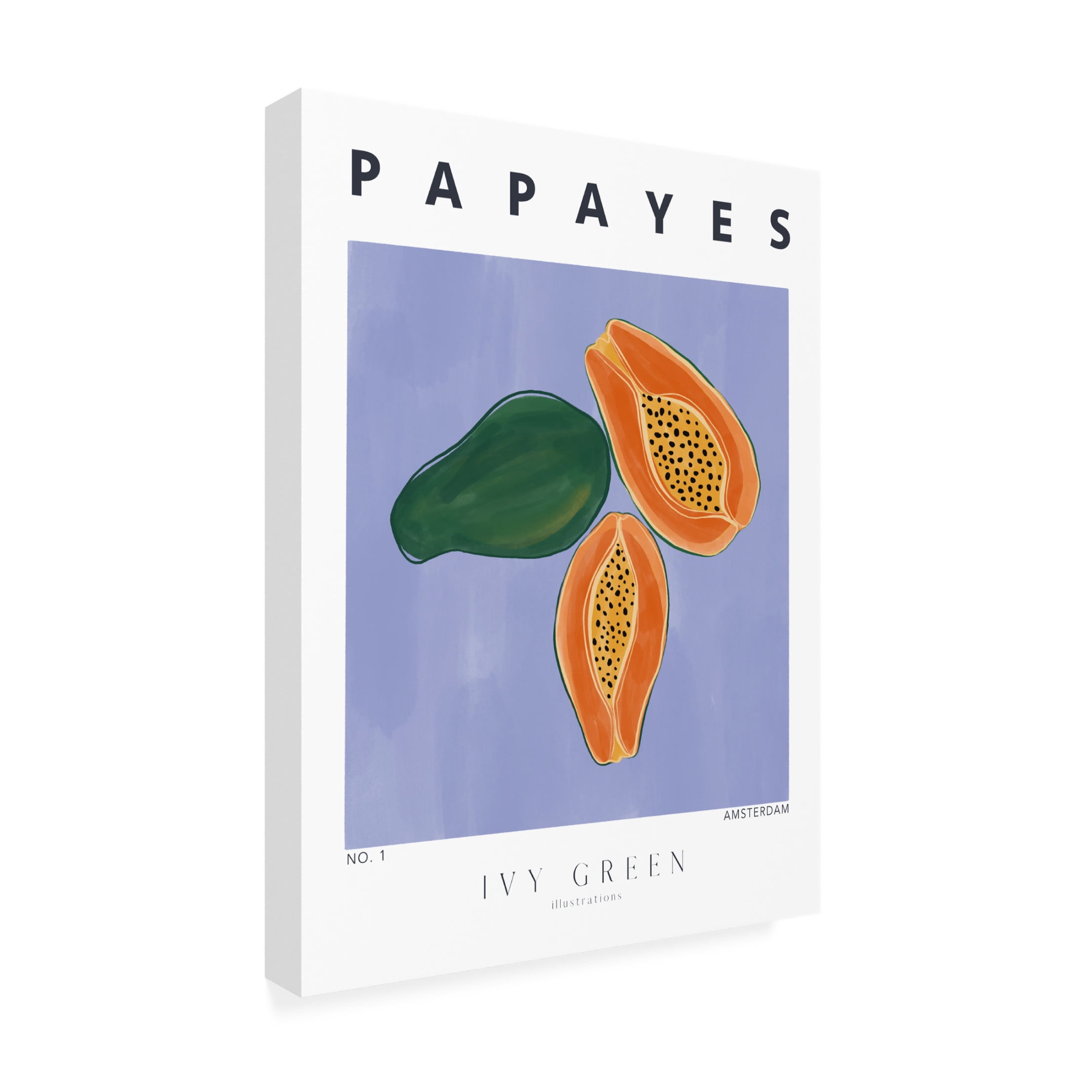 Trademark Fine Art Ivy Green Illustrations Papayes Canvas Wall Art
