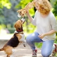 thumbnail image 5 of Pet Toys for Dogs - Squeaky Chewer Toy Set for Small to Large Dogs with Core and - Indoor Outdoor Play, 5 of 5