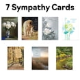 thumbnail image 6 of Variety Pack Greeting Card Assortment by Fravessi | 36 Card Pack + 36 White Envelopes, 6 of 8