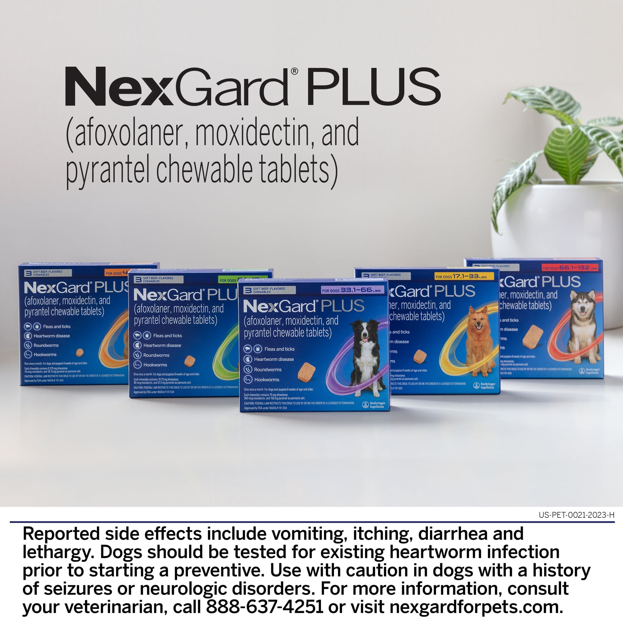 NexGard Plus Flea, Tick & Heartworm Chewable for Dogs 8.1-17 lbs, Beef Flavor, Green Box