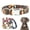 Black, variant on Didog Nylon Dog Collar Cute Printed Patterns Pet Puppy Collars for Small Medium Large Dogs