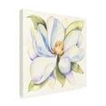 thumbnail image 2 of Trademark Fine Art 'Magnolia in White' Canvas Art by Kathleen Parr McKenna, 2 of 4