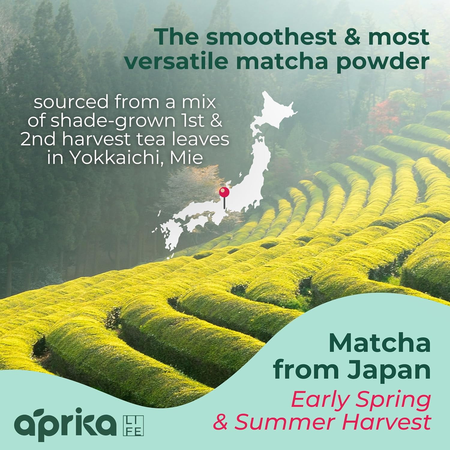 AprikaLife 100% Organic Japanese Matcha Green Tea Powder 3.5oz (100g)