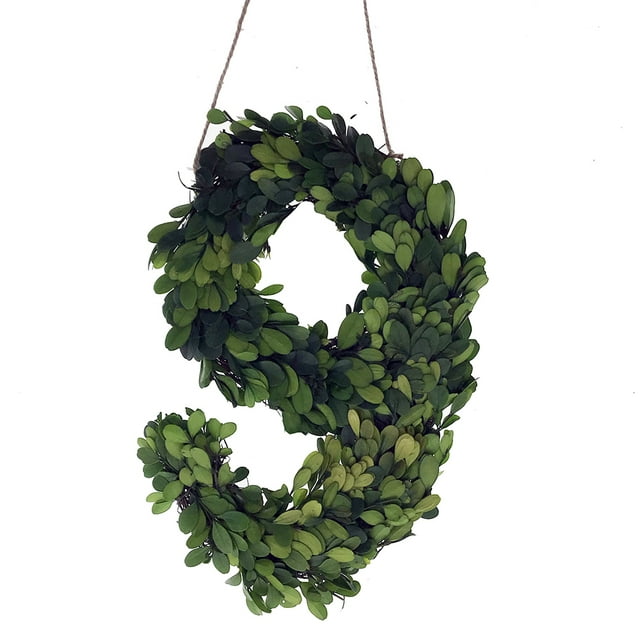 Modern Home 12" Real Preserved Boxwood Monogram Wreath Letters - 9