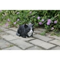 thumbnail image 3 of Hi-Line Gift 87729-A Cat Sleeping Statue, Black & White, 3 of 5