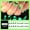 DY688 luminous alien [glue model], variant on Halloween phototherapy wear nail, luminous green alien bat nail patch, best-selling fake nail nails