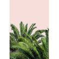 thumbnail image 2 of Acosta 11x14 Gold Ornate Wood Framed with Double Matting Museum Art Print Titled - Tropical Leaves on Blush II, 2 of 4