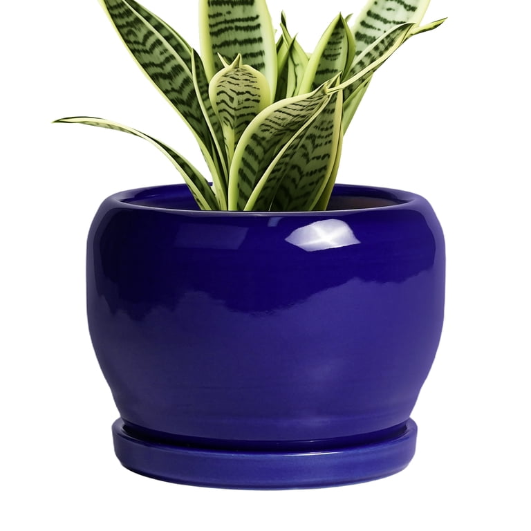 Ordivic 6-Inch Cobalt Blue Ceramic Plant Pot with Saucer photo 1