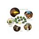 thumbnail image 3 of Velas Decorativas Cactus y Suculenta Artificiales 12 Pz, 3 of 3