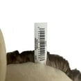 thumbnail image 5 of VIBRANT LIFE Brown Squeaker Cozy Hedgehog Dog Toy, 5 of 5