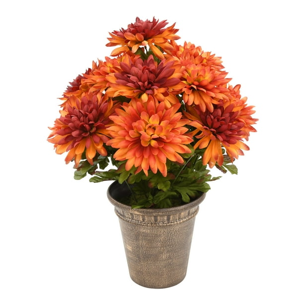 Harvest Chrysanthemum Pot, Red