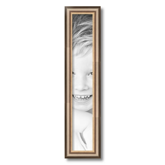 ArtToFrames 4x24" Anique Silver Picture Frame, Silver Wood Poster Frame, with Regular Acrylic and 2 (FBPL-4964)