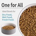 thumbnail image 5 of Addogyy Cuenco Para Perros De Cerámica Para Razas Medianas Grandes, Pesado, Alimentador De Agua Para Perros, Plato Antideslizante, Moderno, Lindo, Extra Grande, Porcelana, 8 Pulgadas, Cuenco Para Perr, 5 of 5