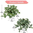 thumbnail image 2 of 2 Pcs Artificial Plants Greeney Plants with White Plastic Pot Small Fake Potted Plant Home Decor, 2 of 6
