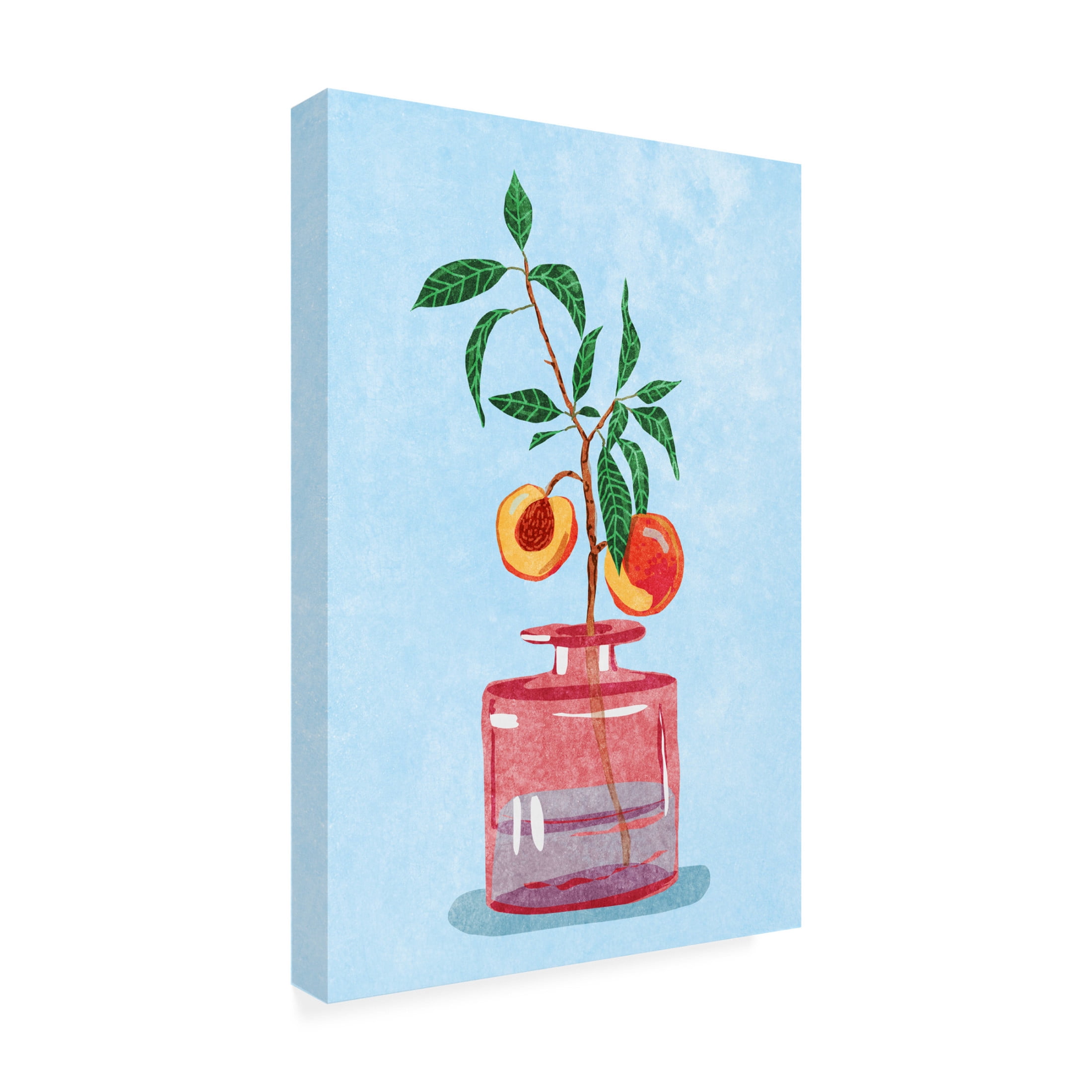 Trademark Fine Art Raissa Oltmanns  Peach Tree in Vase Canvas Wall Art