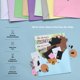 thumbnail image 5 of Kit de manualidades KOOL KRAFTS Little Hands, 20 proyectos de 4 a 8, 5 of 7