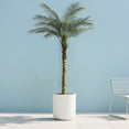 thumbnail image 6 of 6ft Tall Artificial Palm Tree for Outdoor Indoor Decor, Large Faux Coconut Silk Palm Tree Tropical Fake Tree Perfect for Outside Patio Poolside Home Office Decor (Set of 2), 6 of 6