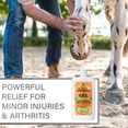 thumbnail image 5 of Gel analgésico Absorbine Veterinary Liniment, 360 ml, paquete de 2, 5 of 5