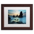 thumbnail image 2 of Trademark Fine Art "Rodeo Beach I" Canvas Art by Moises Levy White Matte, Wood Frame, 2 of 5