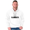 thumbnail image 5 of Llamaste Namaste Spiritual Llama Hoodie Sweatshirt Women Men Brisco Brands X, 5 of 6