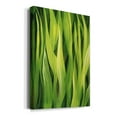 thumbnail image 2 of Blades of Grass I Premium Gallery Wrapped Canvas - Ready to Hang, 2 of 9