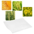 thumbnail image 1 of Protective Bag For Plant  Pollination Bag  Garden Pollination Bag 100pcs Garden Pollination Parchment Bags Isolation Protective Bags For Plant Flower 16x10cm, 1 of 8