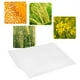 thumbnail image 2 of Bolsa Protectora Polinización Plantas, Pergamino, 100 Uds. Bolsas De Pergamino De Polinización De Jardín Bolsas Protectoras De Aislamiento Para Flores De Plantas 16x10cm YLSHRF Parchment Bag, 2 of 8