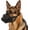 L, variant on Muzzles for Dogs，for Small, Medium, Large and Extra Large Dogs, Allows Panting and Drinking, Breathable, Adjustable Ring Pet Muzzle for German Shepherds, Huskies, Labrador Retrievers