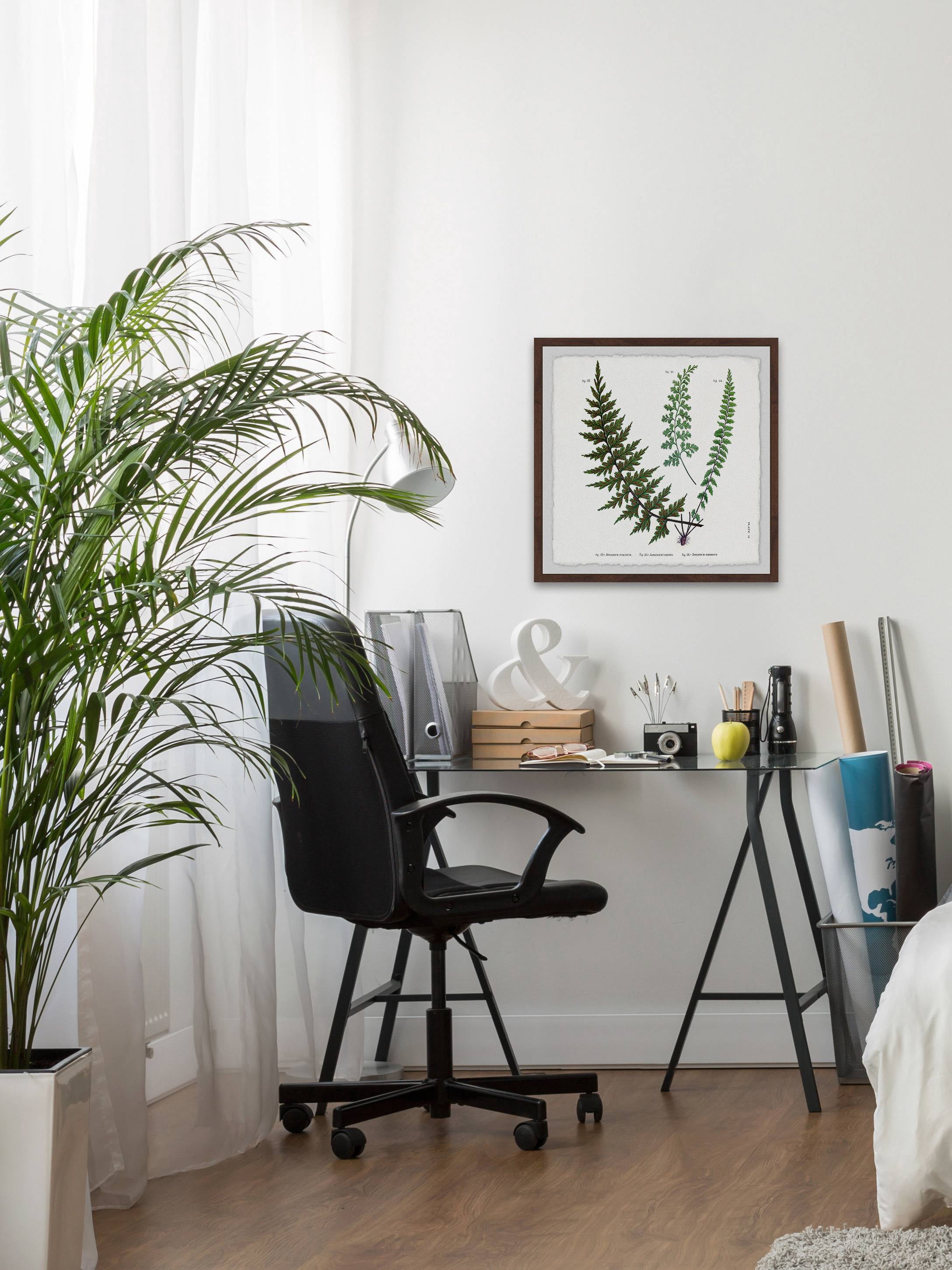 Indian Ferns Framed Painting Print