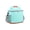 A002- Mint Green, variant on Insulated Lunch Bag | Leakproof Lunch Bag Large Pink Portable Cooler | Gift for Picnic Outdoor Lunch Bag for Adults