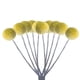 thumbnail image 5 of Injueey 10 bolsas Sensación de textura y elegancia con flores secas naturales Las flores secas naturales son auténticas y naturales de talla mediana 2Conjunto, 5 of 6