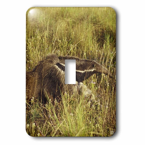 3dRose, Giand Anteater.El Pantanal, Wetlands, Matto Grosso, Brazil., single toggle switch