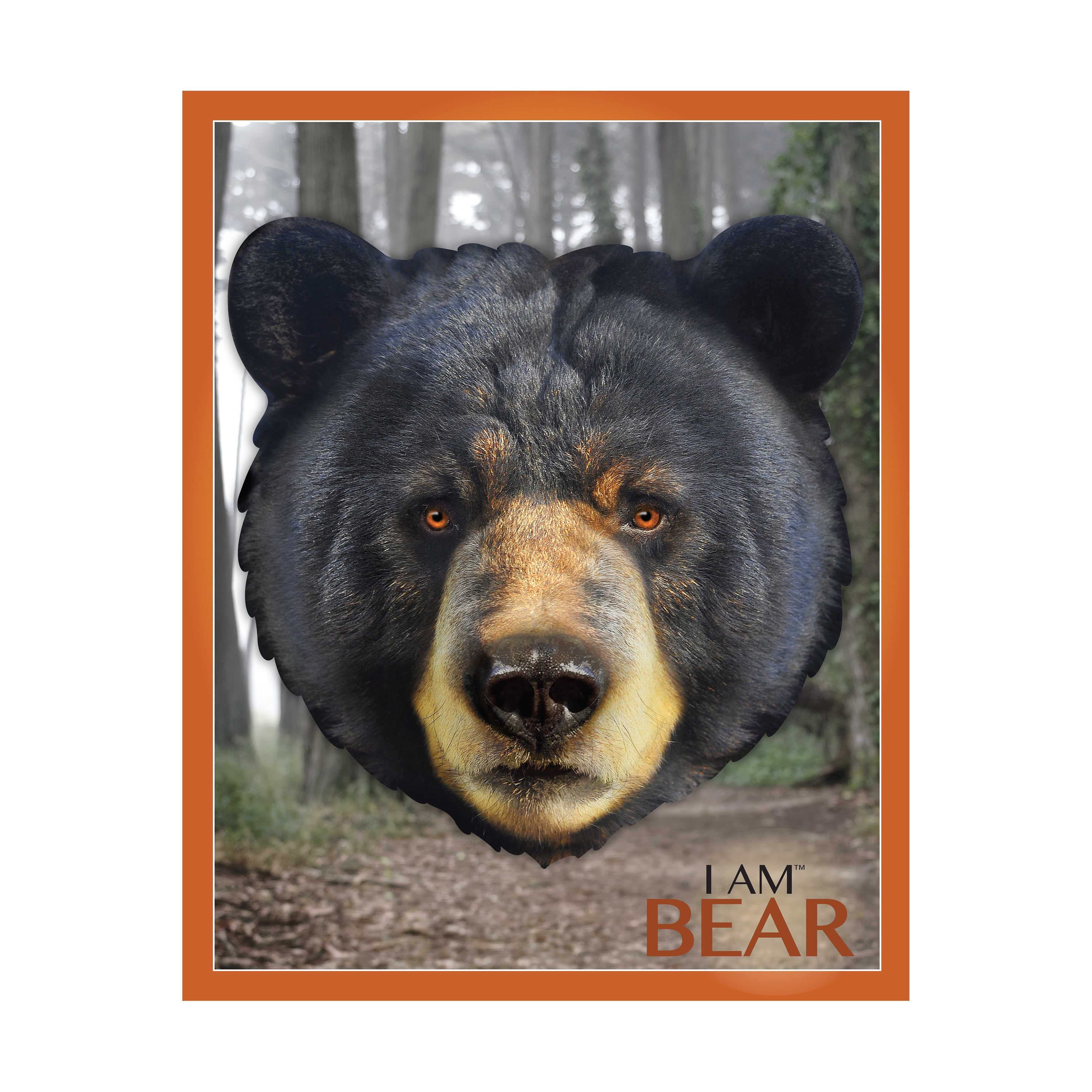 Madd Capp BEAR 550 Piece Jigsaw Puzzle For Ages 10 and up - 3004 - Unique Animal-Shaped Border, Poster Size, Challenging Random Cut, Five-Sided Box Fits on Bookshelf, Includes Educational Fun Facts