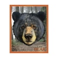 thumbnail image 6 of Madd Capp BEAR 550 Piece Jigsaw Puzzle For Ages 10 and up - 3004 - Unique Animal-Shaped Border, Poster Size, Challenging Random Cut, Five-Sided Box Fits on Bookshelf, Includes Educational Fun Facts, 6 of 7
